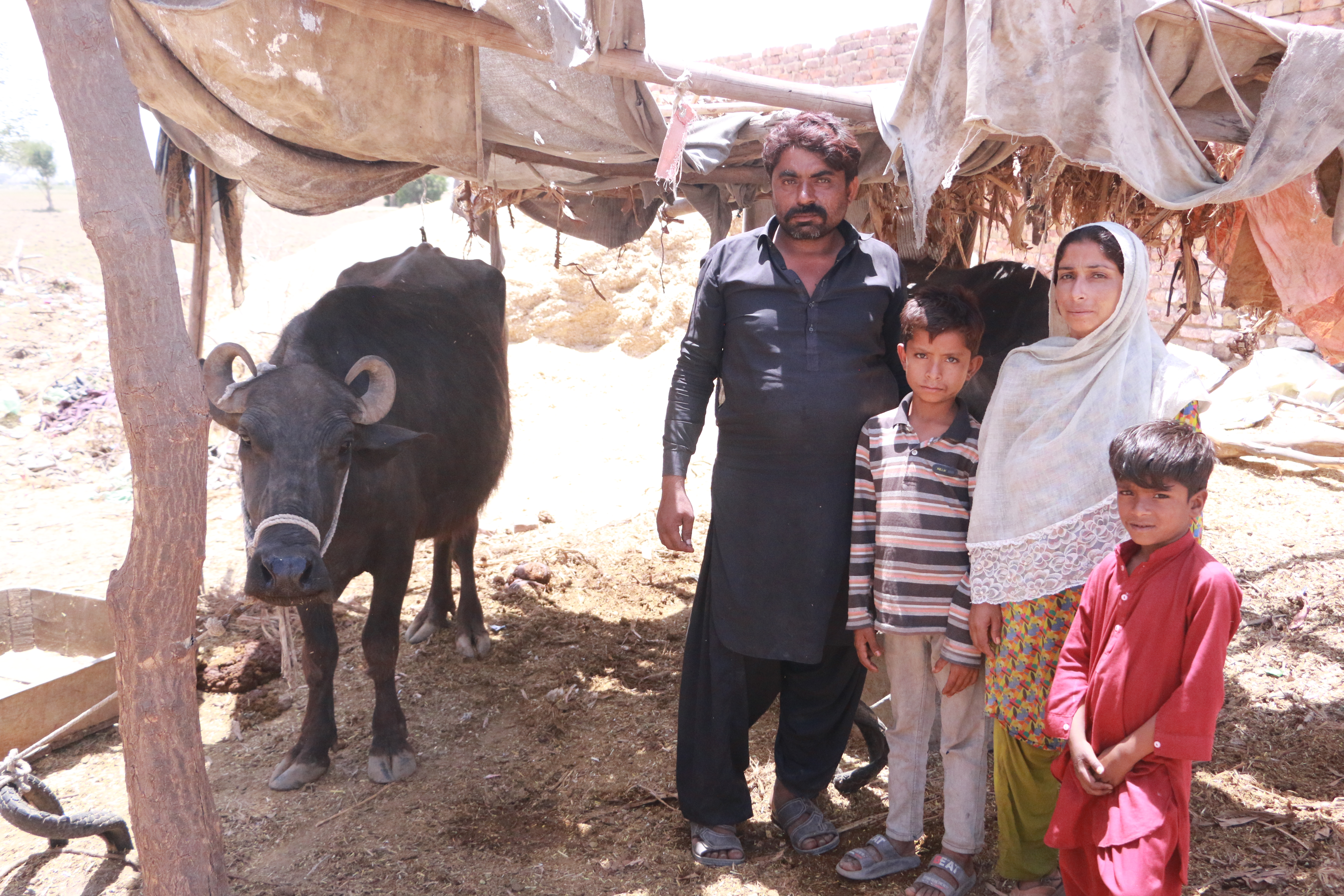 Family benefitting from livestock insurance in Pakistan