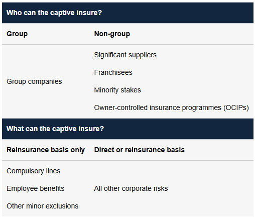 Figure 1: UK captives regime – scope overview